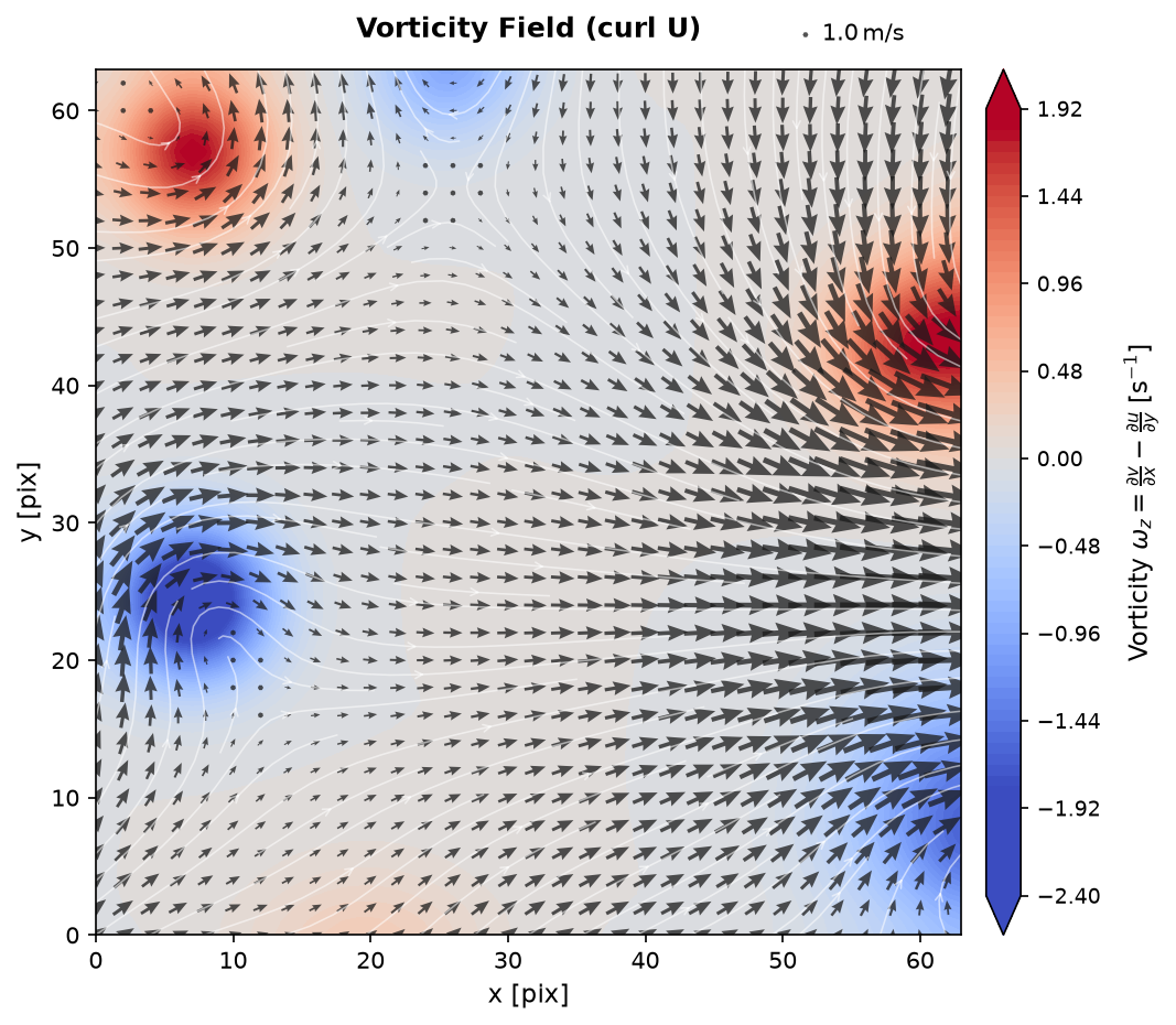 Vorticity Field