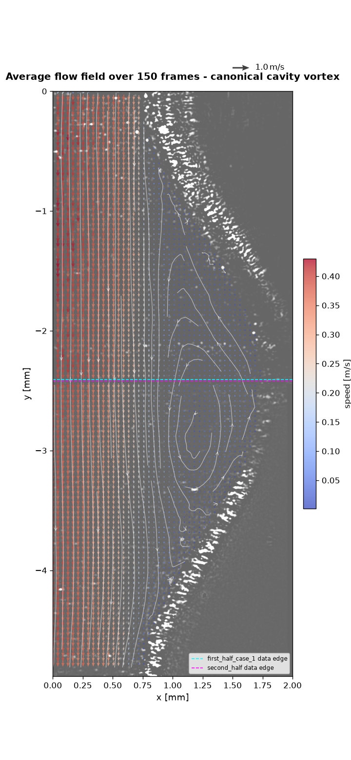 Wall-masked averaged flow field with a canonical cavity vortex